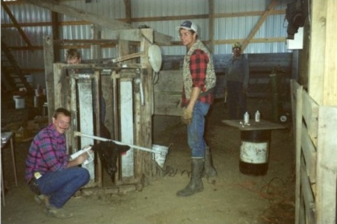 Aaron and Jeff Working Calves