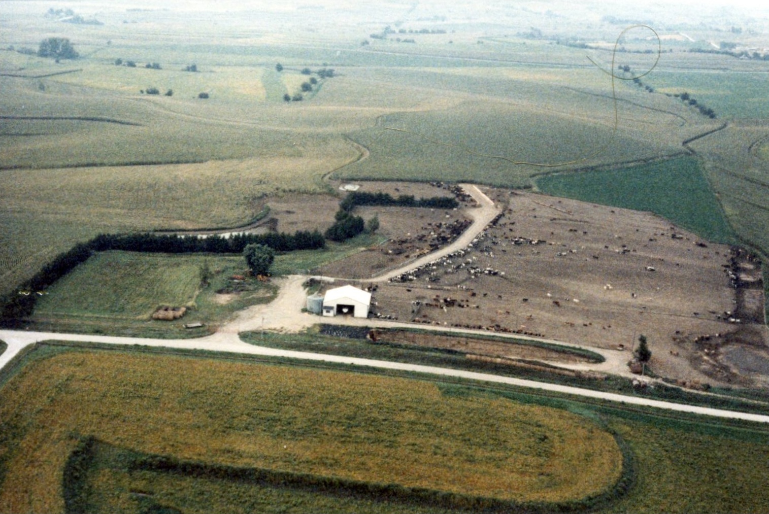 Historical Feedyard View