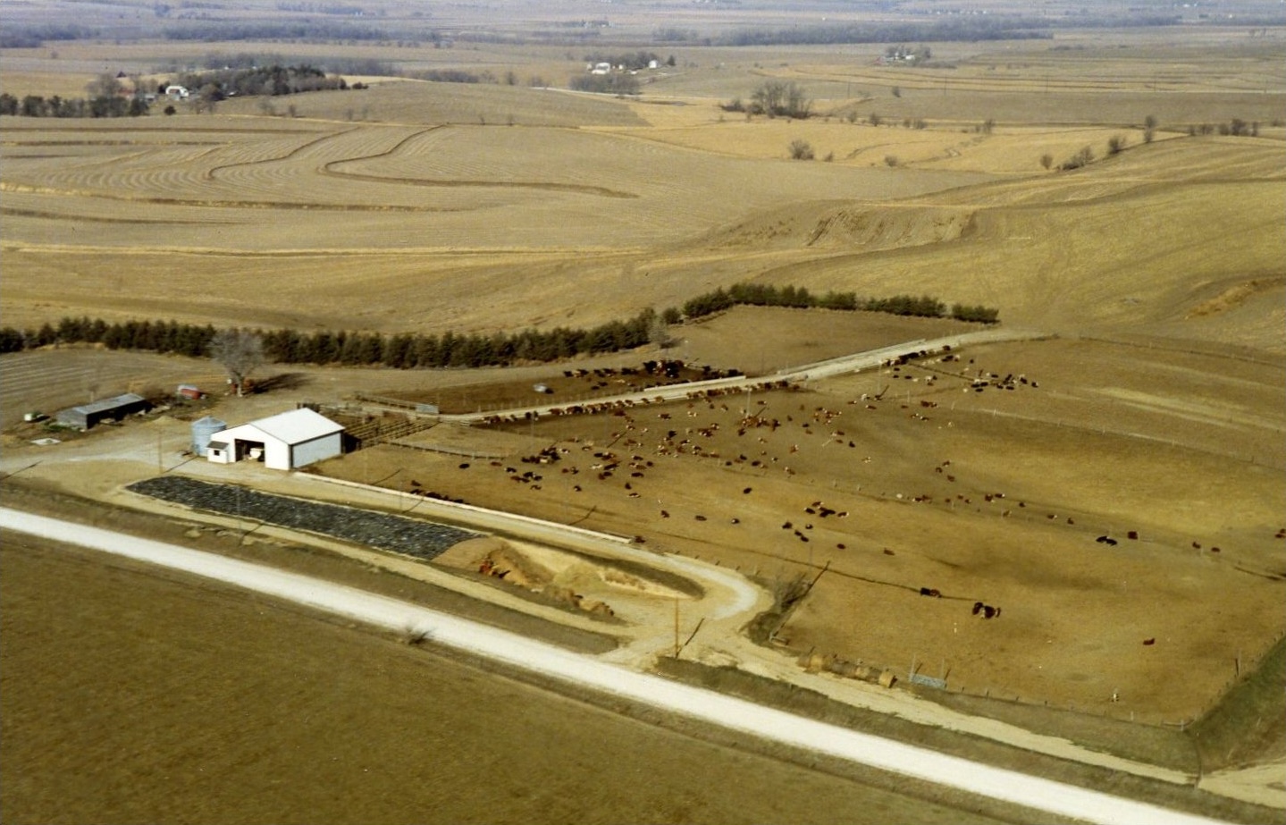 Dec 1989 Feedyard
