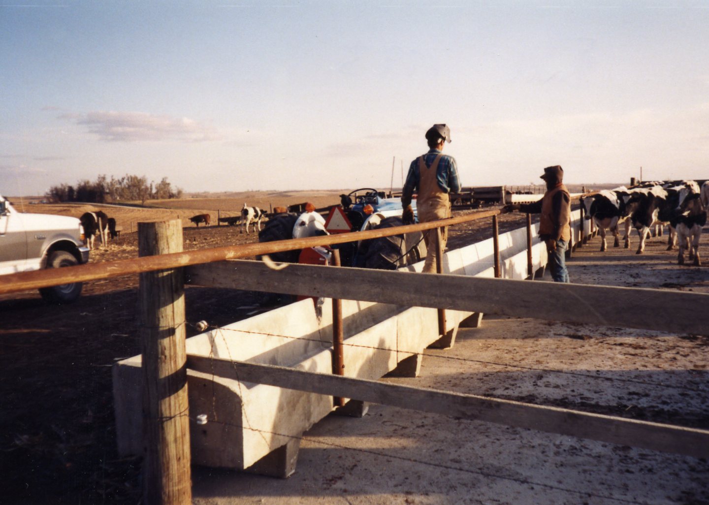 Pen Bunks Construction
